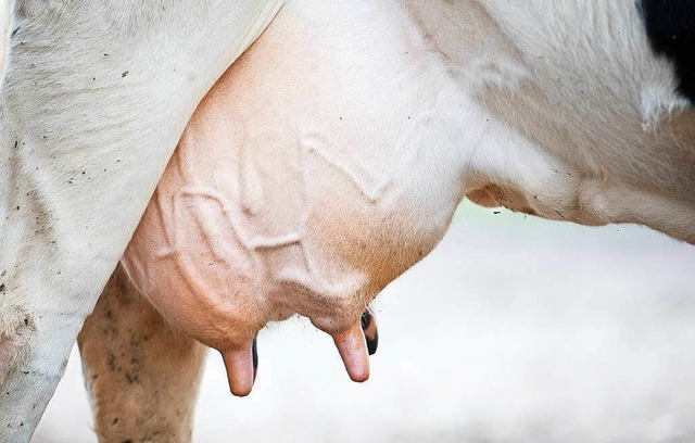 Hier kommt sie raus, die Milch. Und was kommt beim Bauern an?  | Foto: dpa