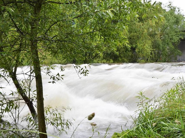 Kraft und eine hohe Fliegeschwindigke...as viele Wasser derzeit in der Wiese.   | Foto: Felix Lieschke