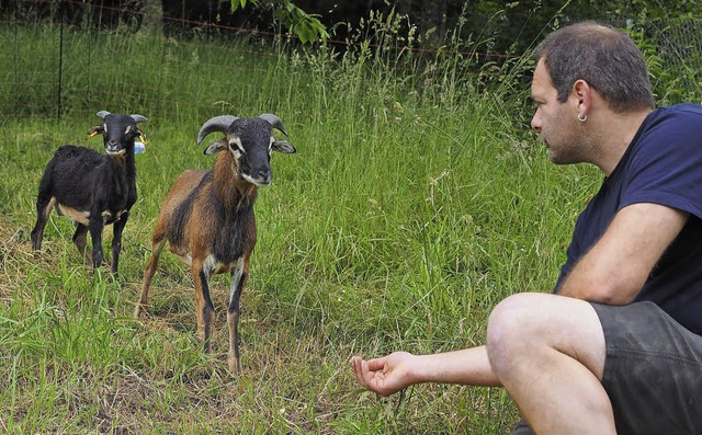 Benjamin Beck fttert Balou (rechts) u...teilen Wiesen im Seelbacher Omersbach.  | Foto: Susanne Gilg