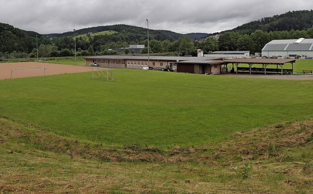 Als Bolzplatz wird die Grnflche (Bil...pltzen und einem Clubheim errichten.   | Foto: Kurt Meier