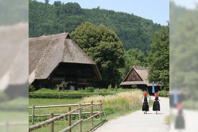 Mit dem Weinzug zum Freilichtmuseum