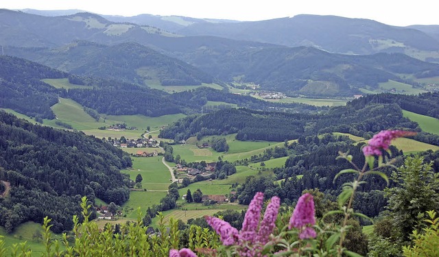 Das Dreisamtal &#8211; hier der Blick ...stinationen im sdlichen Schwarzwald.   | Foto: Markus Donner