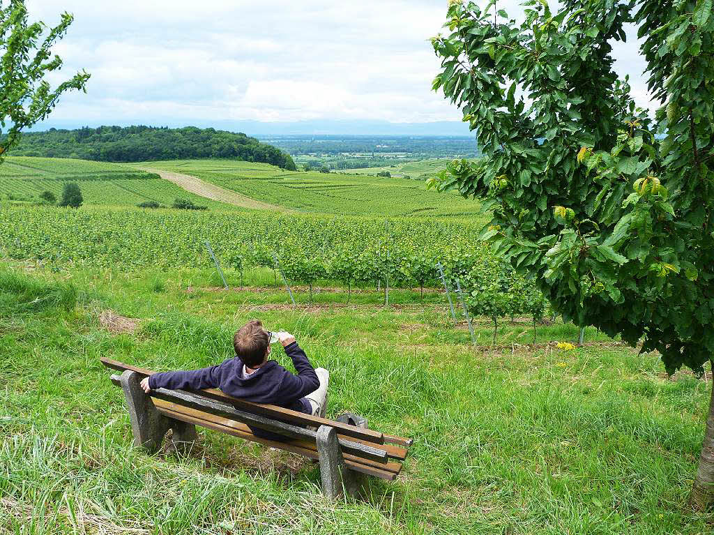 Impressionen von der 14. Internationalen kulinarischen Weinwanderung in Oberrotweil