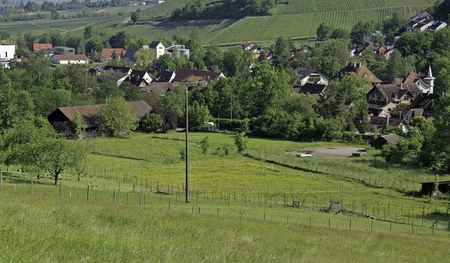 Das knftige Baugebiet Kppelematten ist ein sensibles Terrain.   | Foto: Martin Pfefferle