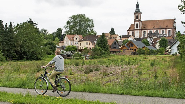 Das Radwegenetz in der Rohanstadt hat Optimierungspotenzial.  | Foto: Olaf Michel