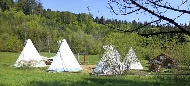 Romantisch: das Tipi-Lager im Sonnenschein   | Foto: Privat