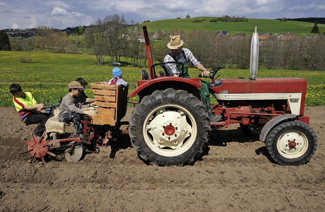 Familie Eichkorn mit Traktor und Karto...zmaschine bei der Arbeit auf dem Feld   | Foto: Privat