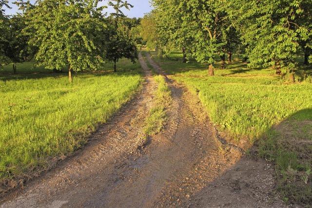 Etliche Feldwege sind sanierungsbedrftig