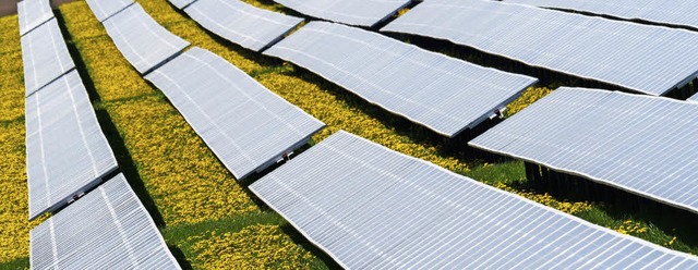 In Deutschland werden im Gegensatz zu ...eniger Solarstromanlagen installiert.   | Foto: DPA