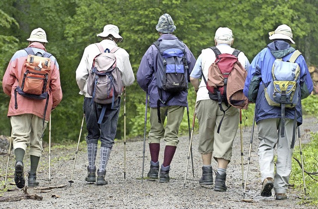 Zweiwchentlich tritt sich in Aitern eine Gruppe zum gemeinsamen Wandern.   | Foto: dpa