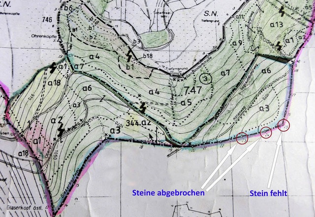Karte von der Grenze Hg-Ehrsberg/Gersbach mit markierten Steinen.  | Foto: privat