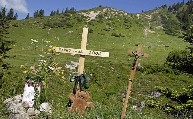 Gedenksttte im Rotwand-Gebiet. Hier wurde Bruno am 26.Juni 2006 erschossen.   | Foto: dpa