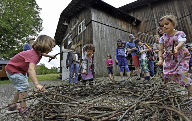 Echtes Teamwork des Nachwuchses: Zweig...m &#8211; fertig ist das Storchennest.  | Foto: Michael Bamberger