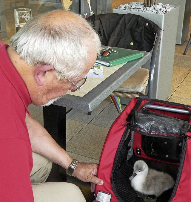 Ernst Fischer transportiert Lucky in einem roten Wagen.   | Foto: Tillessen