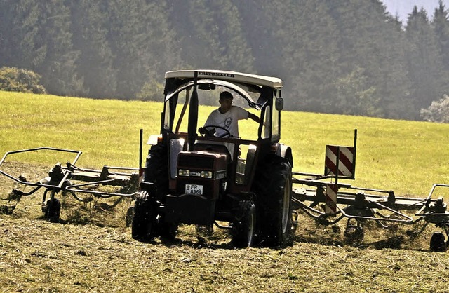 In Bauernfamilien mssen oft alle mit ... ging der Richterin dann doch zu weit.  | Foto: Rolf Haid (dpa)