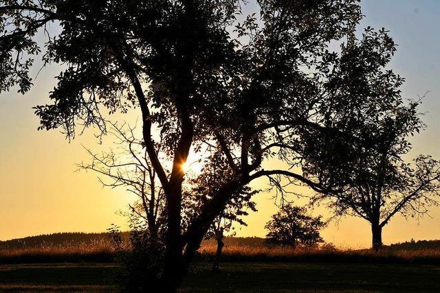 Meteorologe: Darum scheint in Freiamt so oft die Sonne