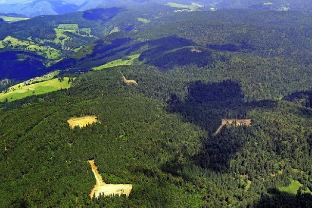 Gersbacher Baustellen-Bewegungen