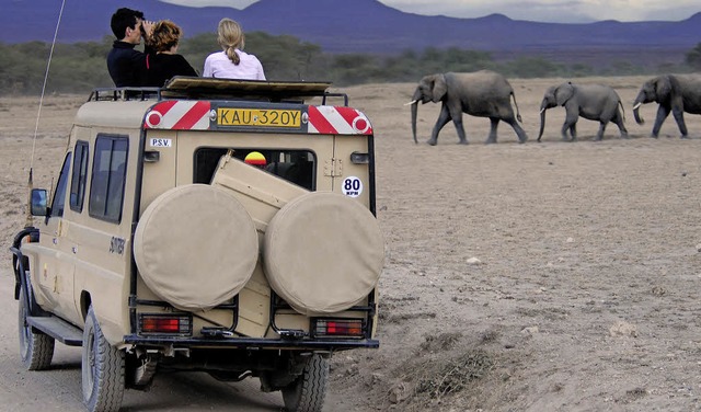 Safari-Touristen in Afrika  | Foto: dpa