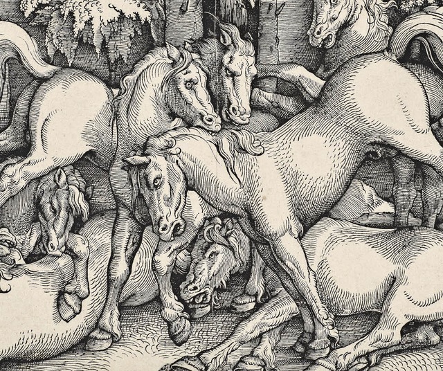 Hans Baldung, genannt Grien:  Kmpfend...pferde, 1534, Holzschnitt (Ausschnitt)  | Foto: Augustinermuseum Freiburg