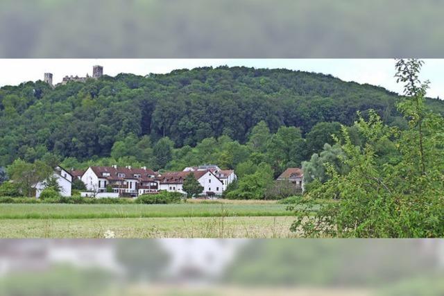 Grnes Licht fr Bebauungsplan