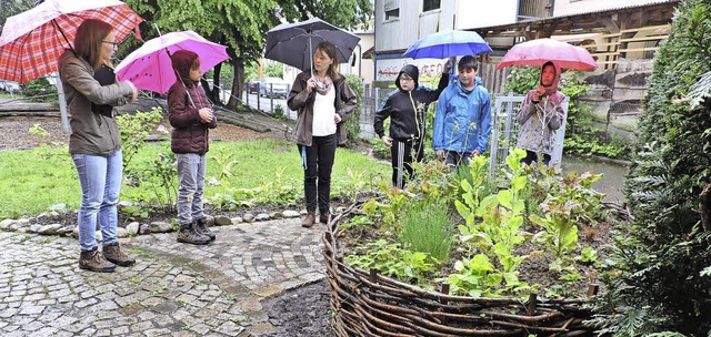 Das Hochbeet aus Weide haben die Schl...lgarteninitiative den Garten besuchte.  | Foto: Sylvia Sredniawa