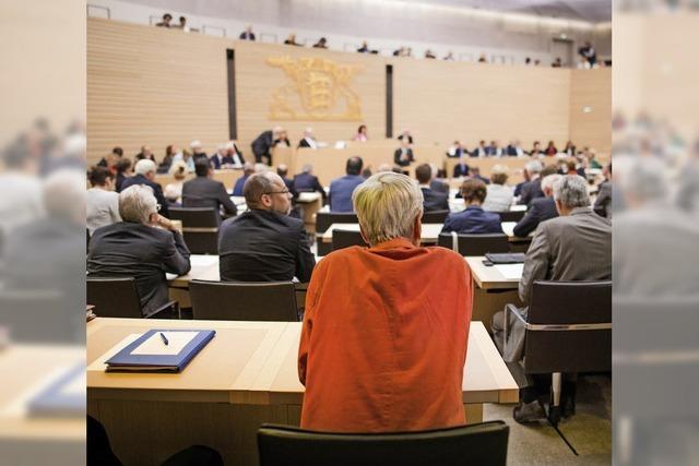 Der Umgangston im baden-wrttembergischen Landtag wird rauer