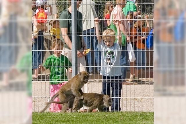 Foto-Galerie: Die Tierbabys vom Mundenhof