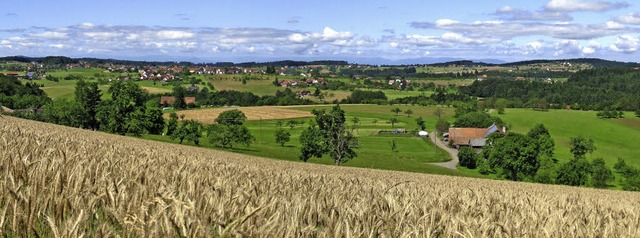   | Foto: Wilhelm Billharz