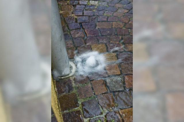 Mini-Foto-Galerie: Unwetter ber Freiburg