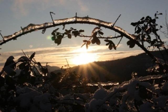 Video: Sonnenaufgang auf dem Schlossberg