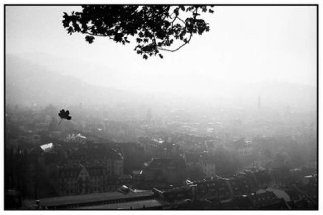 Petra Gnnewig hat Freiburg im Herbst und Winter fotografiert