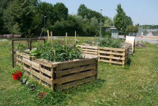 Der Wandelgarten im Vauban: Vom Parkplatz zum Gemsebeet fr alle