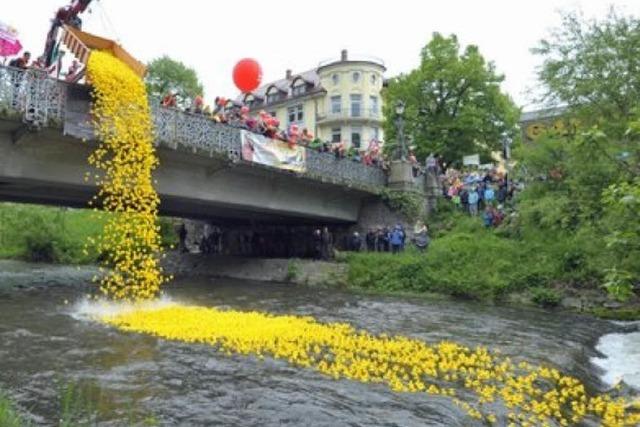 Neuer Streckenrekord beim Entenrennen auf der Dreisam