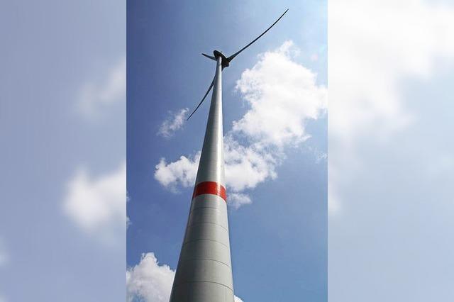 Rotmilan stoppt den Windpark in Rickenbach