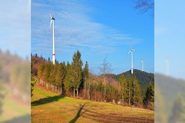 Brger-Energie des Lahrer EWM im Aufwind