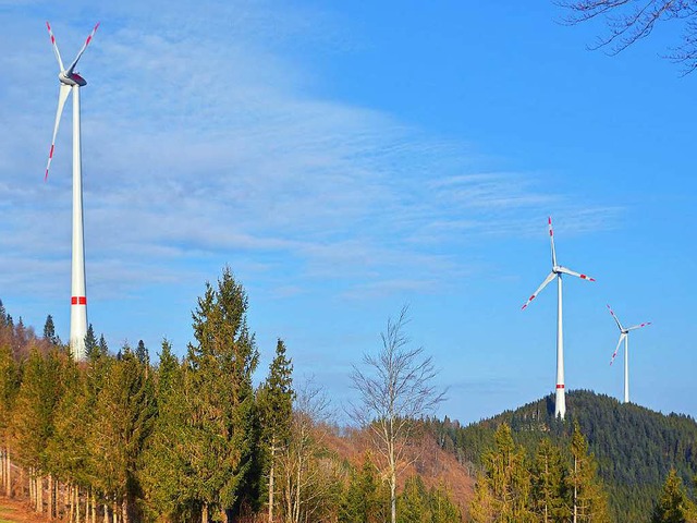 Windpark Prechtaler Schanze  | Foto: E-Werk