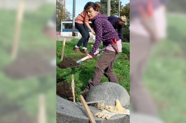 Urban Gardening vor dem Stadttheater