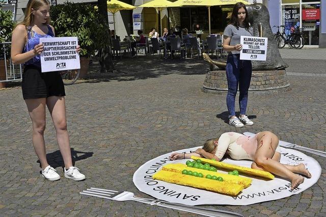 Den Fischmarkt im Visier