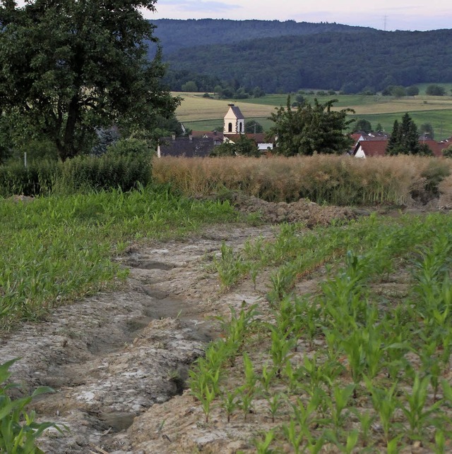 Das Wasser kam durch die Maisfelder.   | Foto: Cremer