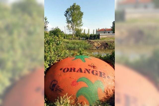 Urlaubsgre aus der Sprhdose: Orange in Albanien