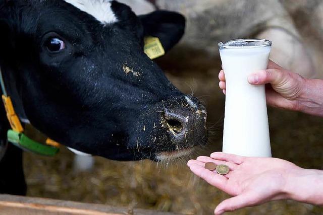 Melken Bauern wegen des Preisverfalls jetzt weniger?