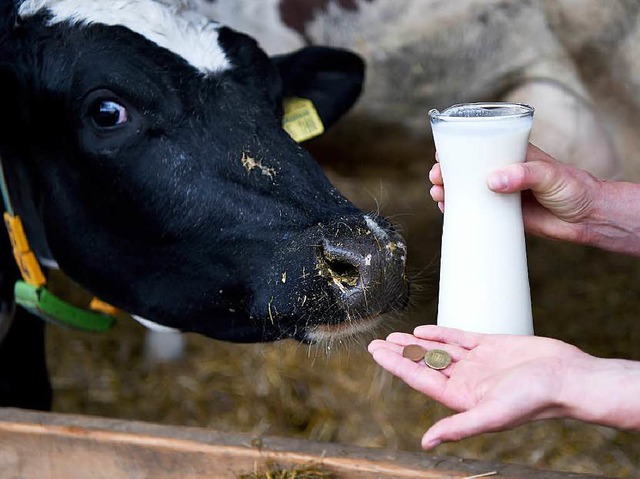 Die Molkerei Schwarzwaldmilch hofft, d...rd. Viele Landwirte geben derweil auf.  | Foto: dpa