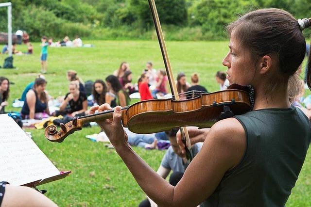 Fotos: fudders Picknick mit Musik auf der Sternwaldwiese