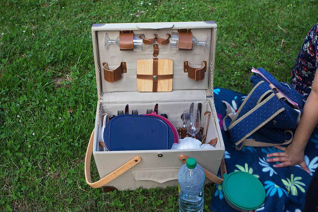 Picknick mit Musik auf der Sternwaldwiese