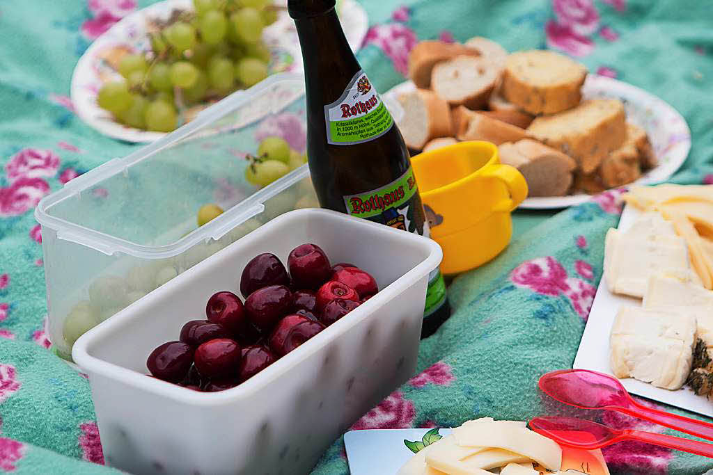 Picknick mit Musik auf der Sternwaldwiese