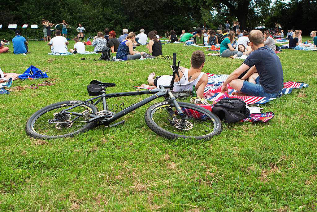 Picknick mit Musik auf der Sternwaldwiese