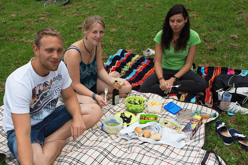 Picknick mit Musik auf der Sternwaldwiese