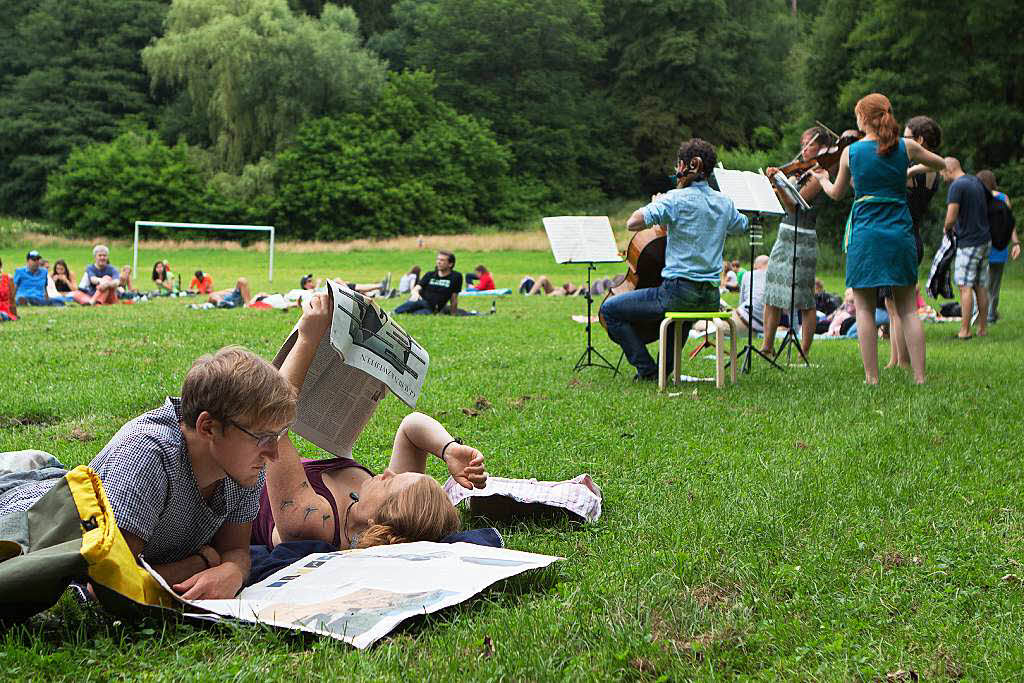 Picknick mit Musik auf der Sternwaldwiese