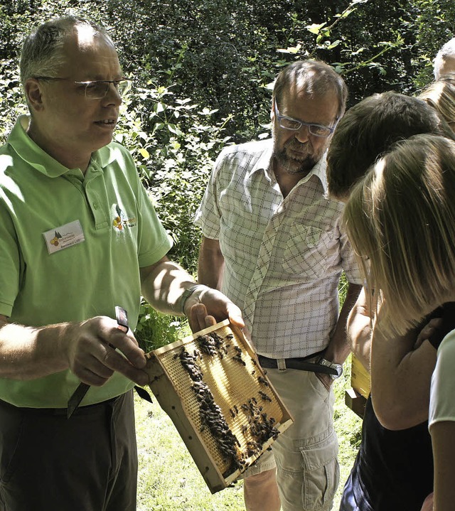 Beim Tag der offenen Tr erluterte de...en alles rund um  Bienen und Honig.     | Foto: Reinhard Herbrig