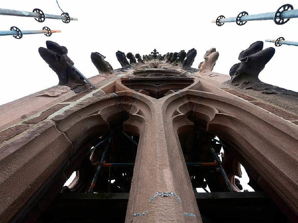 Der Freiburger Mnsterturm und die Arb... unserer Livebertragung auf Facebook.  | Foto: Ingo Schneider
